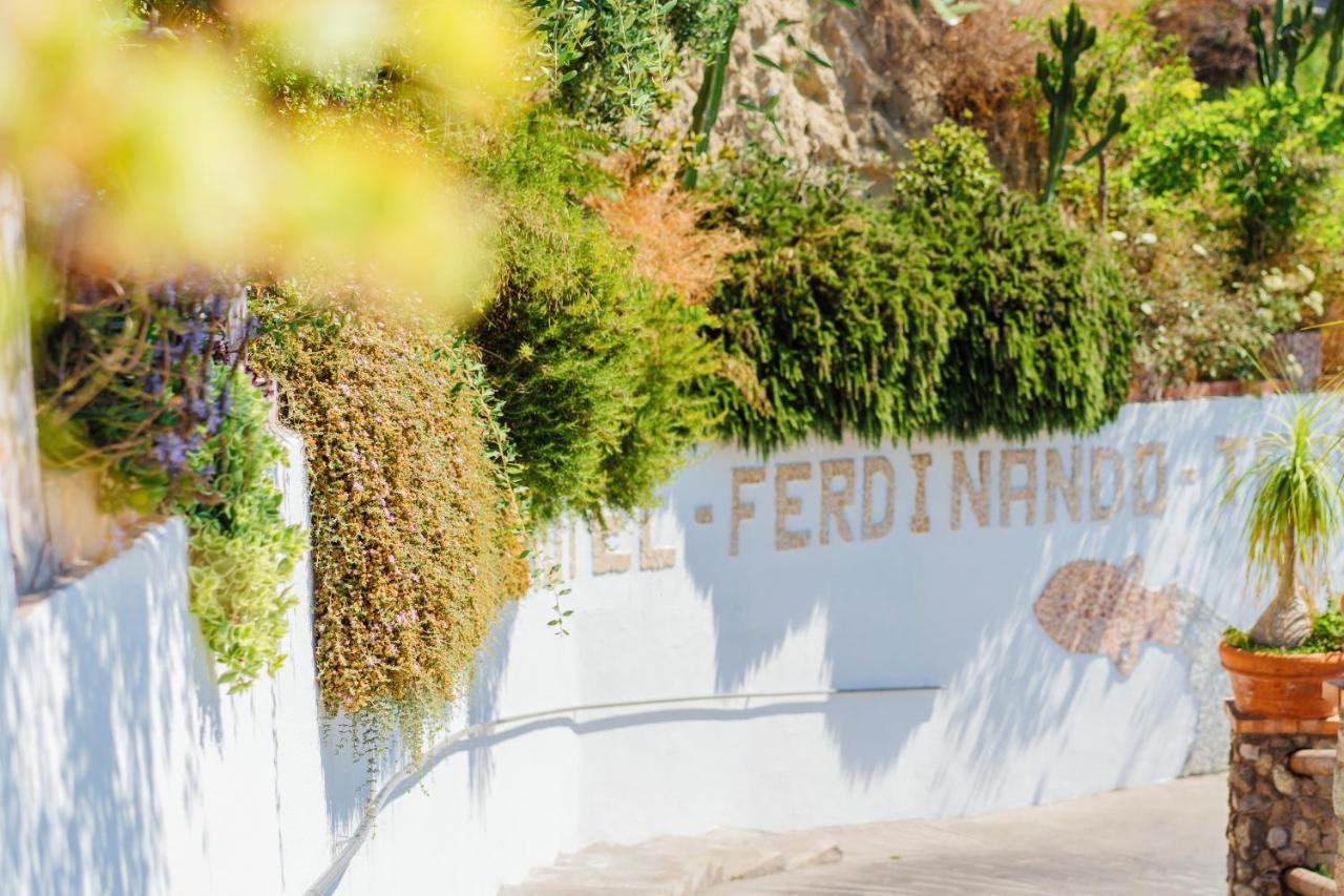 Hotel Ferdinando Beach & Thermal Spa Sant'Angelo  Dış mekan fotoğraf